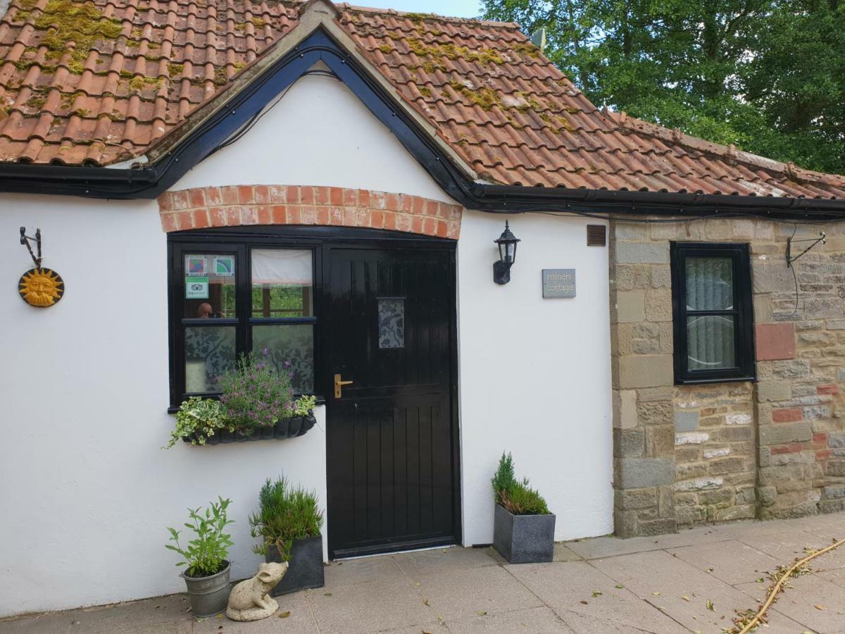 The Miners Cottage Whitecroft Buitenkant foto